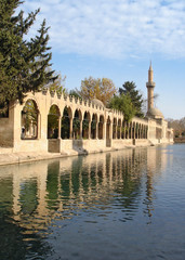 Pool of Abraham with Sacred Fish (Balikli Gol in Turkish) in Urfa, famous turist and religion center in South East Turkey. The pool is surrounded by beautiful gardens and Halil-ur-Rahman mosque © Natalia Baran