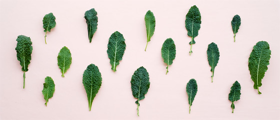 Kale cabbage leaves on pastel pink. Food pattern background