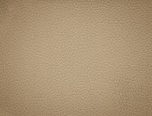 An image of a nice leather background. Cowhide texture.