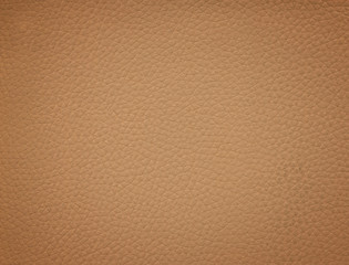 Fototapeta premium An image of a nice leather background. Cowhide texture.