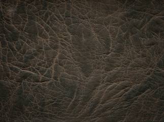 An image of a nice leather background. Cowhide texture.