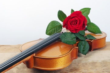 Fototapeta premium Violin and red rose. Copy space
