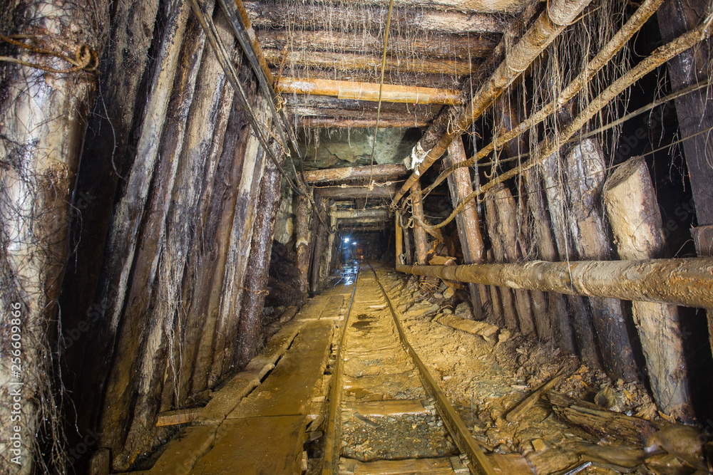 Wall mural Undeground gold mine tunnel drift with rails