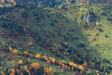 志賀高原の紅葉／長野県山ノ内町