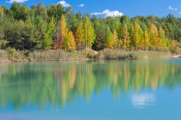 autumn landscape with lake and trees