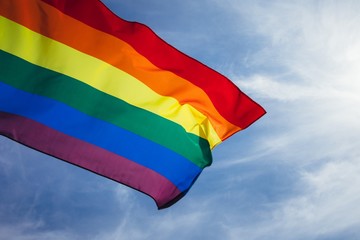 LGBT flag