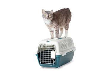 The cat and cage pet carrier isolated on white background