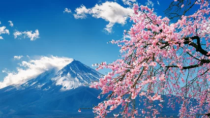 Tuinposter Fuji mountain and cherry blossoms in spring, Japan. © tawatchai1990