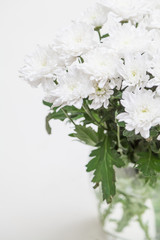 Bouquet of white flowers Chrysanthemums in vase on white background