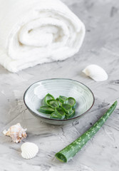 Natural Ingredients Homemade Body Mask Cream Scrub with Aloe Vera Salt Olive Oil Honey, Beauty Concept Skin Care Organic Aroma Spa Therapy