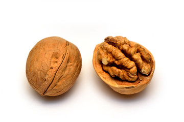 Walnut close-up