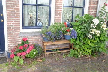 Fenster in Hoorn, Holland