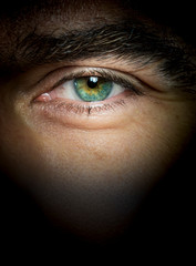 beautiful eyes macro close-up shot 