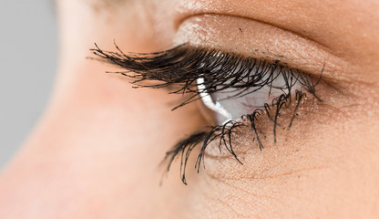 beautiful eyes macro close-up shot 