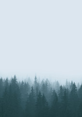 Misty landscape with fir forest in retro style