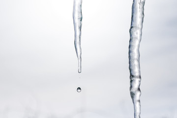 Melting Icicles Dripping with Water Drop