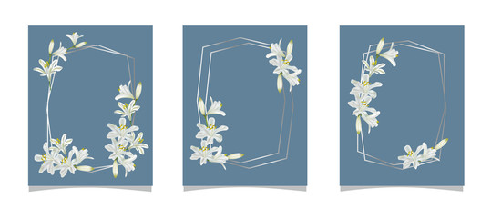 Set of card with agapanthus flower and abstract background-vector