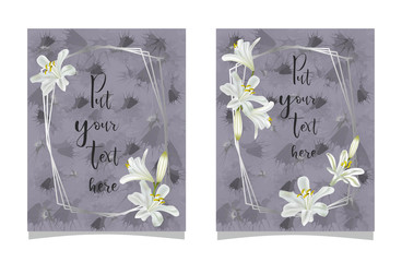 Set of card with agapanthus flower and abstract background-vector