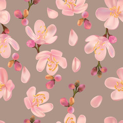 Flower seamless pattern with centaurium erythraea-vector illustration