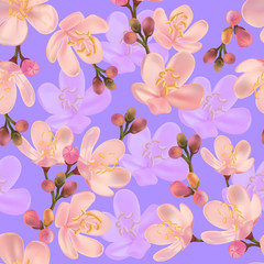 Flower seamless pattern with centaurium erythraea-vector illustration