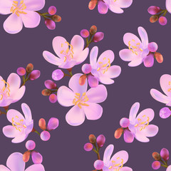 Flower seamless pattern with centaurium erythraea-vector illustration