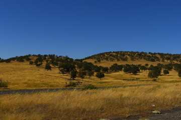 Obraz premium landscape with tree
