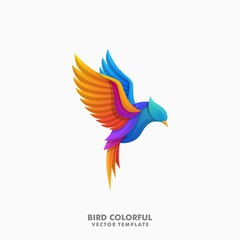 Bird Colorful Concept illustration vector Design idea template