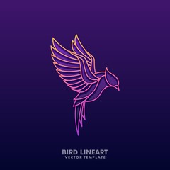 Bird Colorful Line art Concept illustration vector Design template