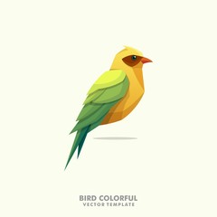Bird Colorful illustration vector Design template