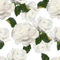 White rose seamless pattern - vector