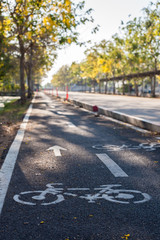 Obraz premium bike lane and nature view.