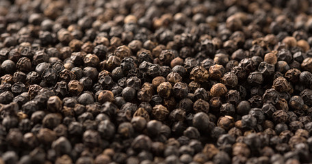 Black pepper corn