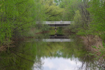 Obraz premium bridge in the city Park