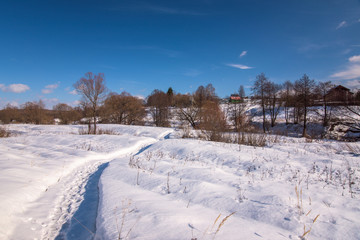 Fototapeta na wymiar Winter forest landscape