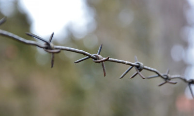 Iron rusty barbed wire on blurred gray background