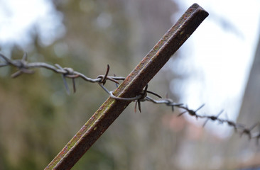 Iron rusty barbed wire on blurred gray background