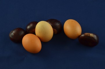Fresh chestnuts with blu background