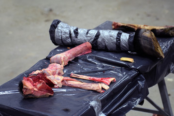 Horse leg bones and amputated foot from dead horse. Material for farrier students to study hoof and...