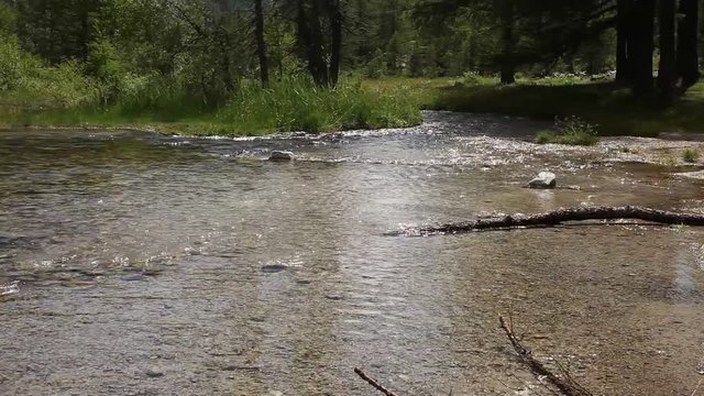 a placid river in a sunny day on Italian mountains