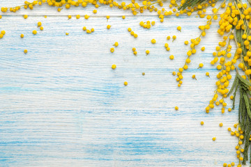 Beautiful flowers of yellow mimosa and frame on a blue wooden table. top view. space for text