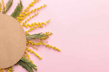 Beautiful flowers of yellow mimosa and a blank for text on a pink trend background. top view