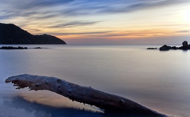 Smooth sea at sunrise, with dramatic moving sky, hills, rocks and tree trunk on beach, port nou, mallorca, spain.