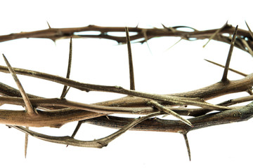 Close-up thorn crown on white background
