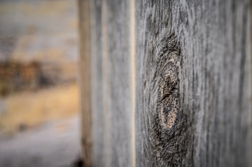 Gate To Happiness