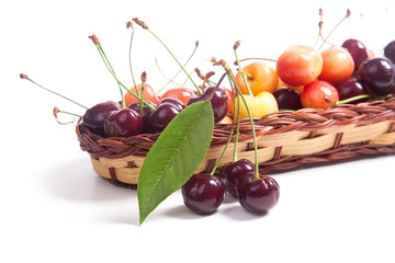 Yellow and red sweet cherry in basket with green leaf isolate on white.