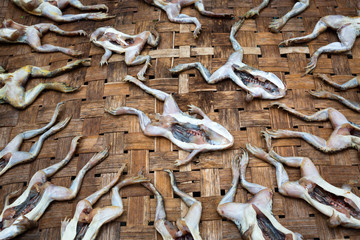 The frog is sun-dried for cooking.