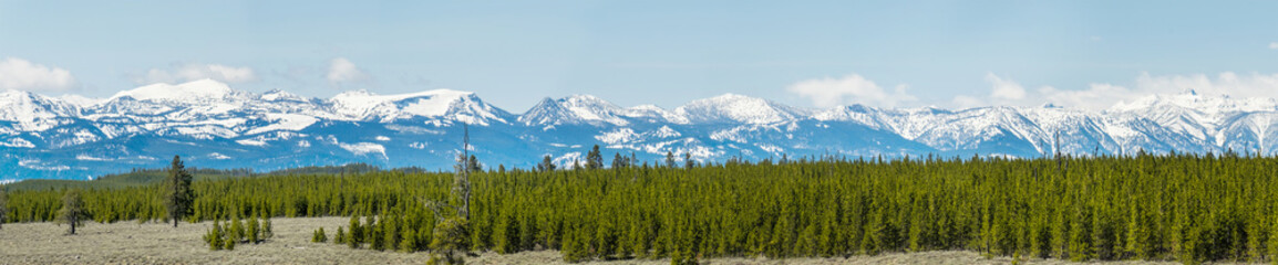 Panorama view of mountain covered with snow and green field of tree below