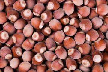 Ripe hazelnuts background. Hazel. Nuts in shell. Top view