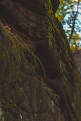 Rock 