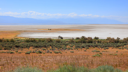 Fototapeta na wymiar Antelope Island State Park in Utah
